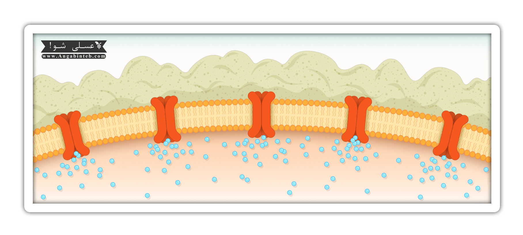 cystic fibrosis-reason-min